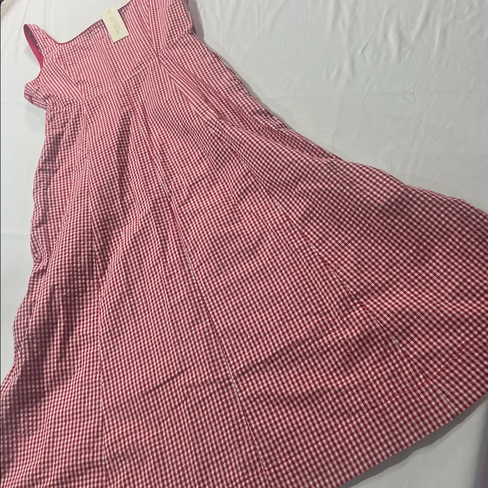 Rachel Zoe midi gingham sun dress size 10 NWT midi fit and flare - Picture 3 of 12